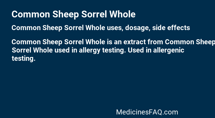 Common Sheep Sorrel Whole
