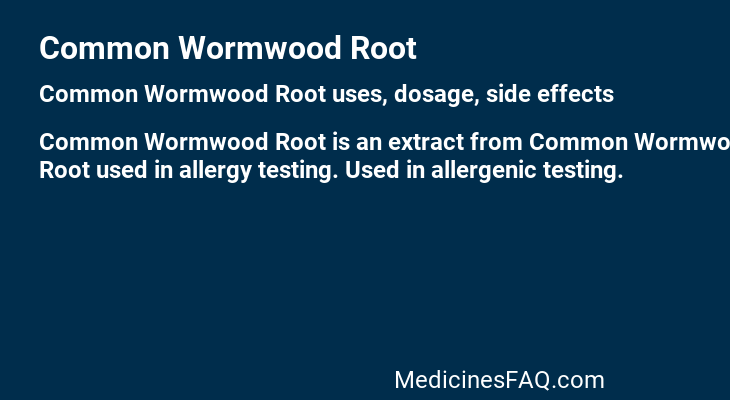 Common Wormwood Root