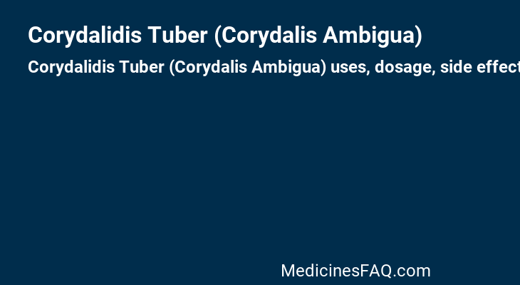 Corydalidis Tuber (Corydalis Ambigua)