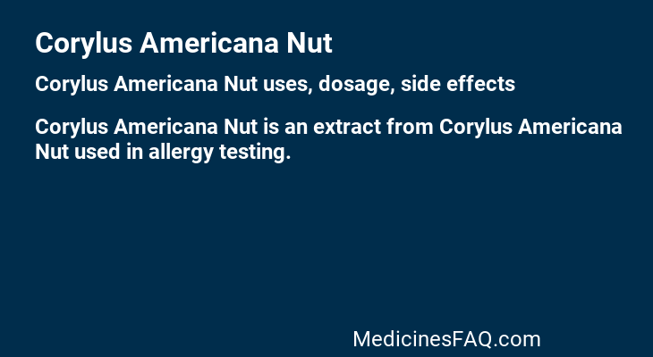 Corylus Americana Nut