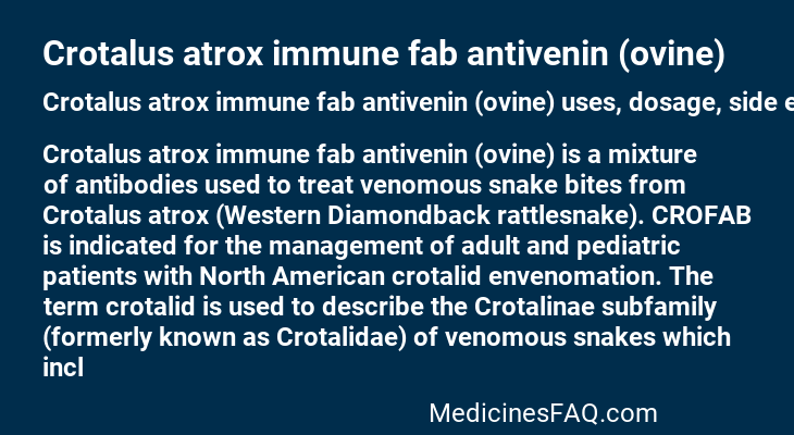 Crotalus atrox immune fab antivenin (ovine)