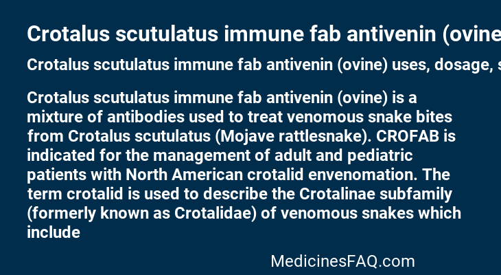 Crotalus scutulatus immune fab antivenin (ovine)