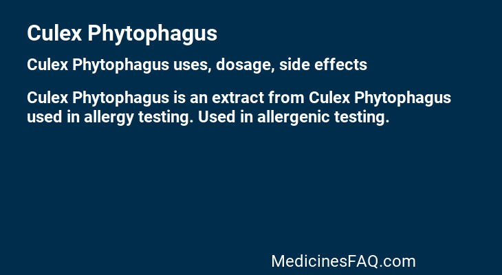 Culex Phytophagus