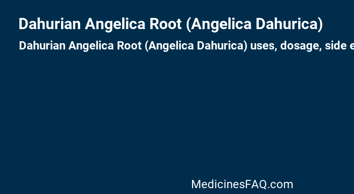 Dahurian Angelica Root (Angelica Dahurica)