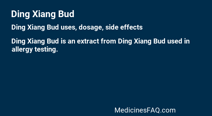 Ding Xiang Bud