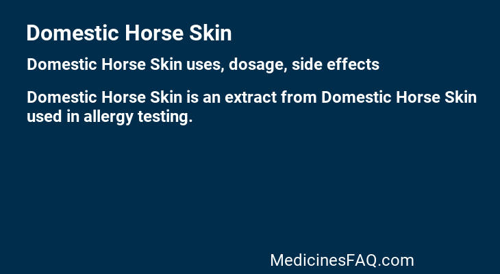 Domestic Horse Skin