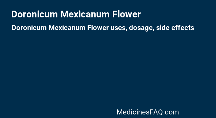 Doronicum Mexicanum Flower