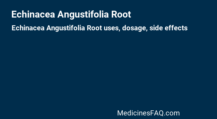 Echinacea Angustifolia Root
