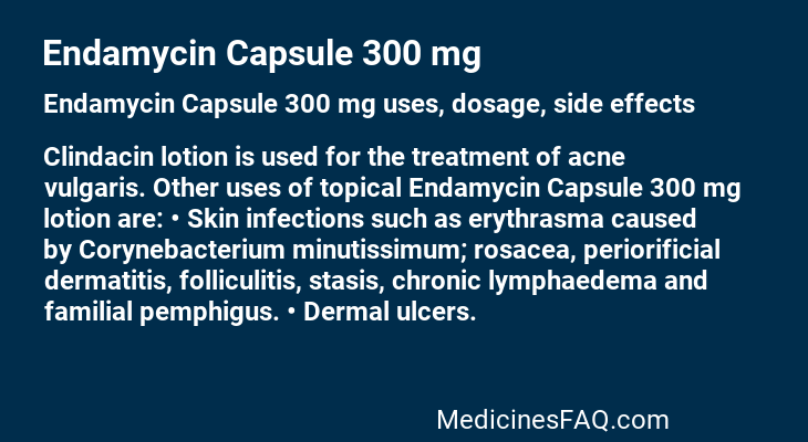 Endamycin Capsule 300 mg