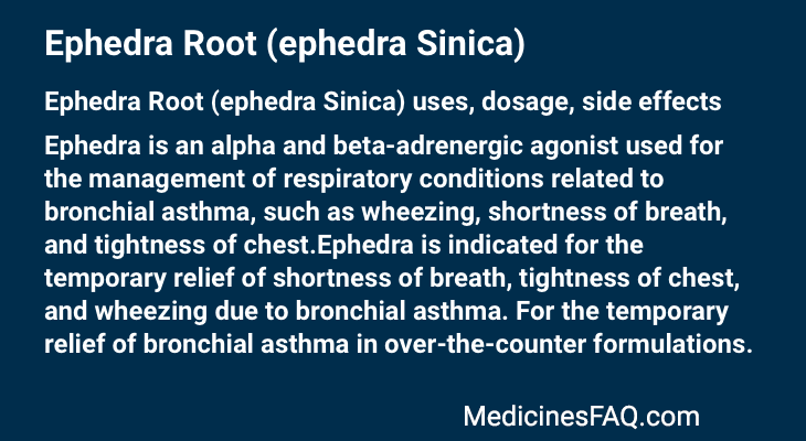 Ephedra Root (ephedra Sinica)