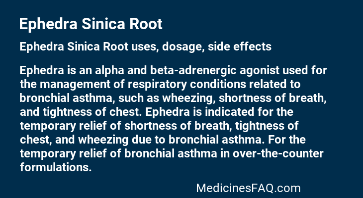Ephedra Sinica Root