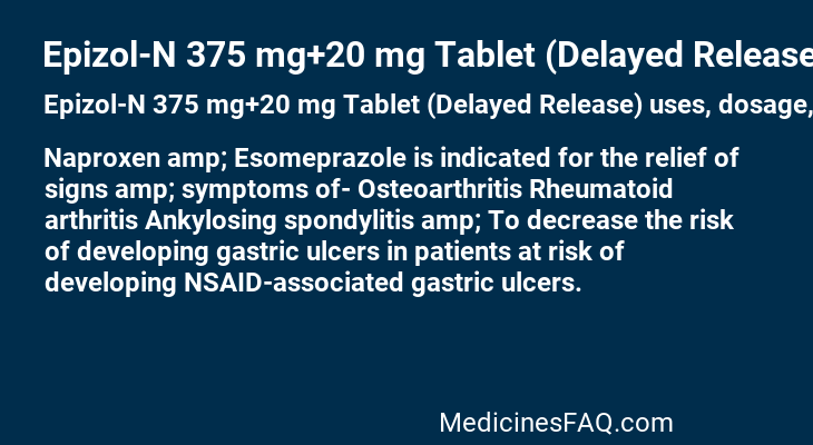 Epizol-N 375 mg+20 mg Tablet (Delayed Release)