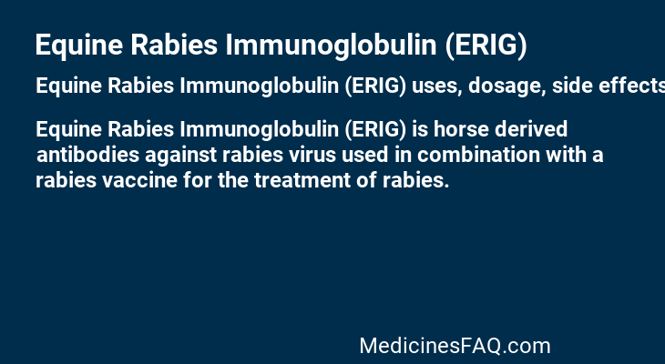 Equine Rabies Immunoglobulin (ERIG)