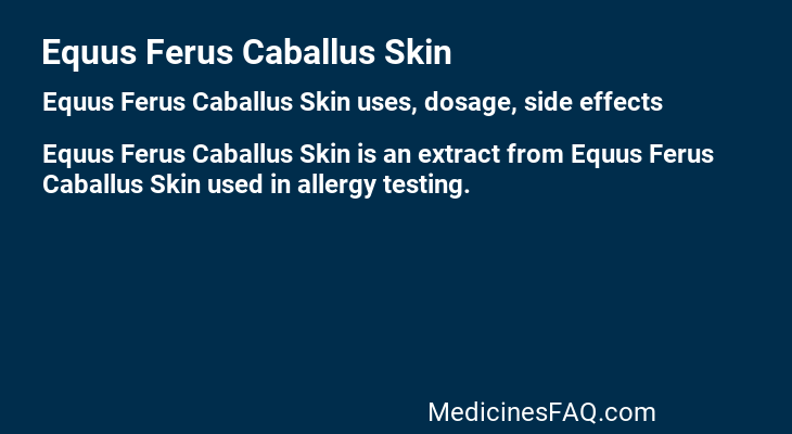 Equus Ferus Caballus Skin