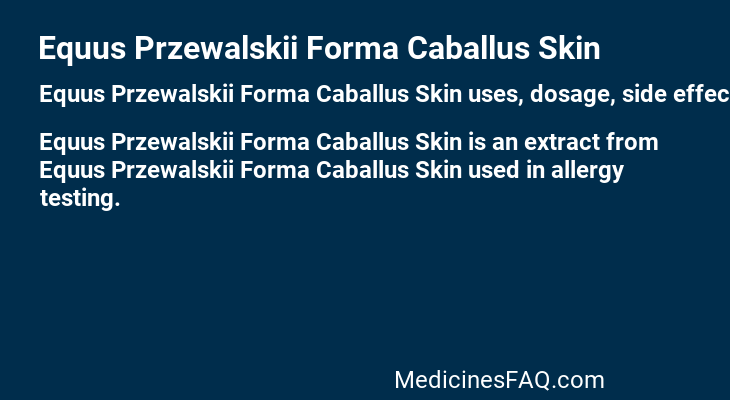 Equus Przewalskii Forma Caballus Skin
