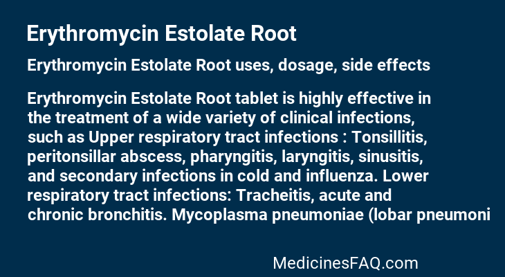 Erythromycin Estolate Root