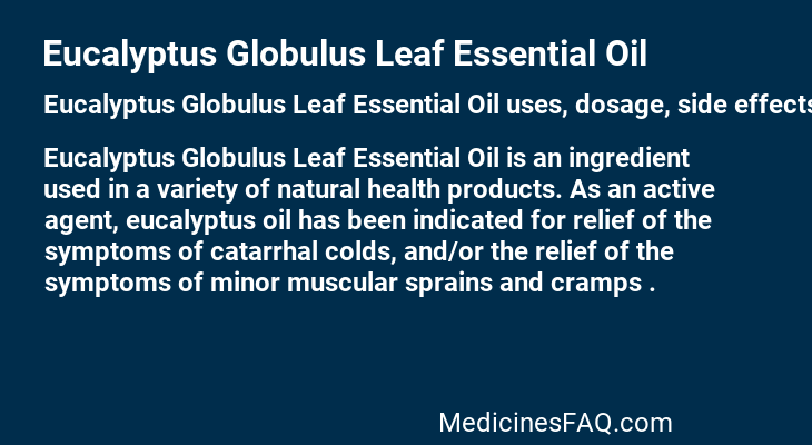 Eucalyptus Globulus Leaf Essential Oil