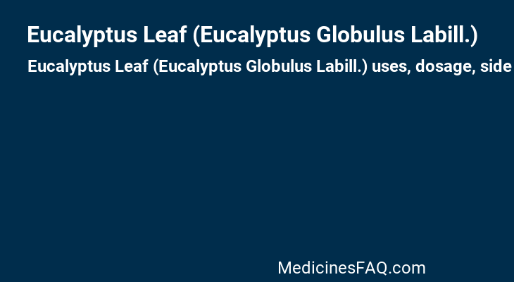 Eucalyptus Leaf (Eucalyptus Globulus Labill.)