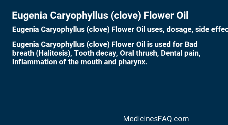 Eugenia Caryophyllus (clove) Flower Oil