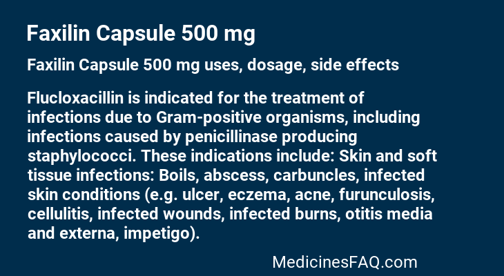 Faxilin Capsule 500 mg