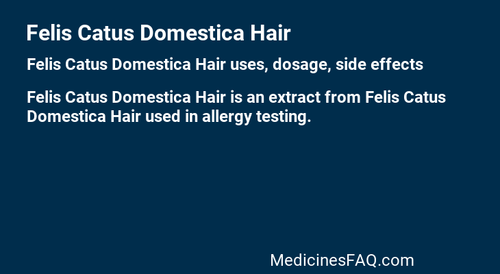 Felis Catus Domestica Hair
