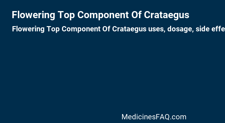 Flowering Top Component Of Crataegus