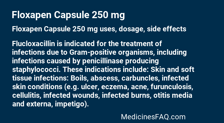 Floxapen Capsule 250 mg