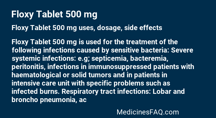 Floxy Tablet 500 mg