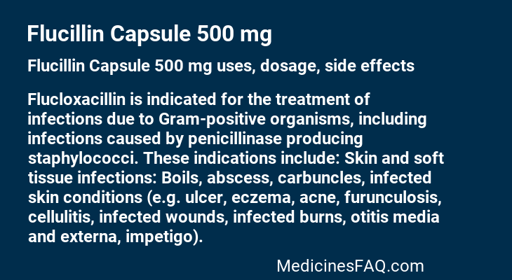 Flucillin Capsule 500 mg