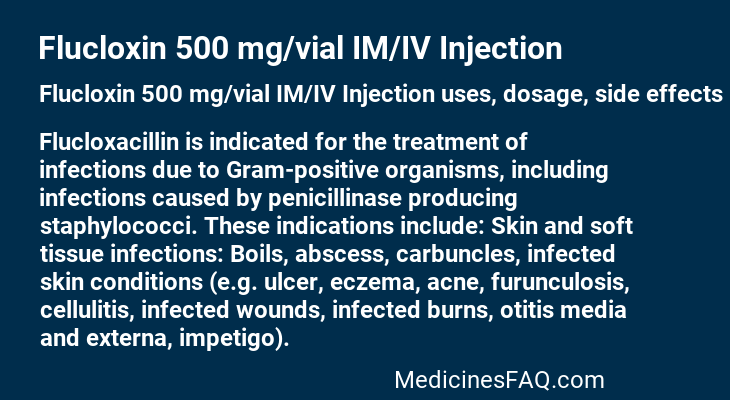 Flucloxin 500 mg/vial IM/IV Injection