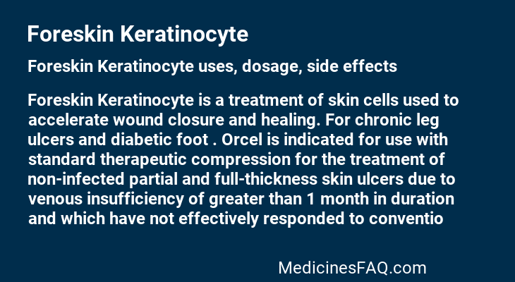 Foreskin Keratinocyte