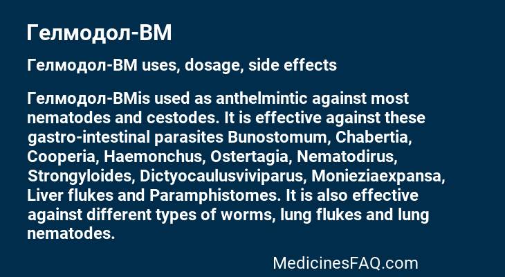Гелмодол-ВМ