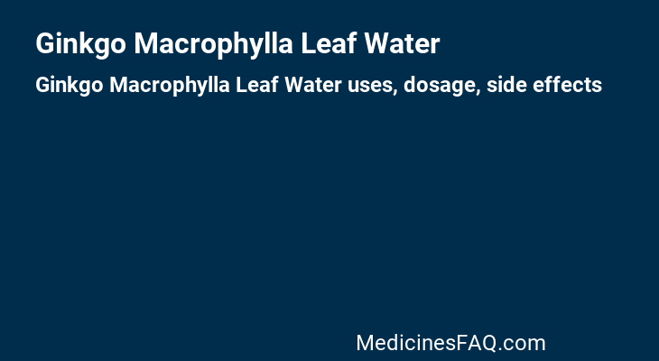 Ginkgo Macrophylla Leaf Water