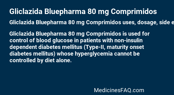 Gliclazida Bluepharma 80 mg Comprimidos