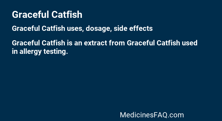Graceful Catfish
