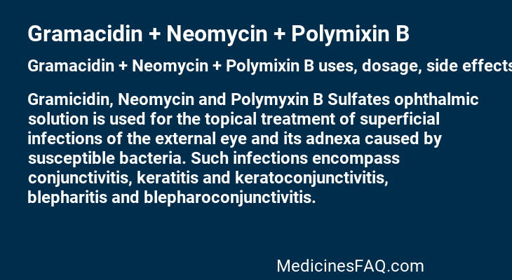 Gramacidin + Neomycin + Polymixin B