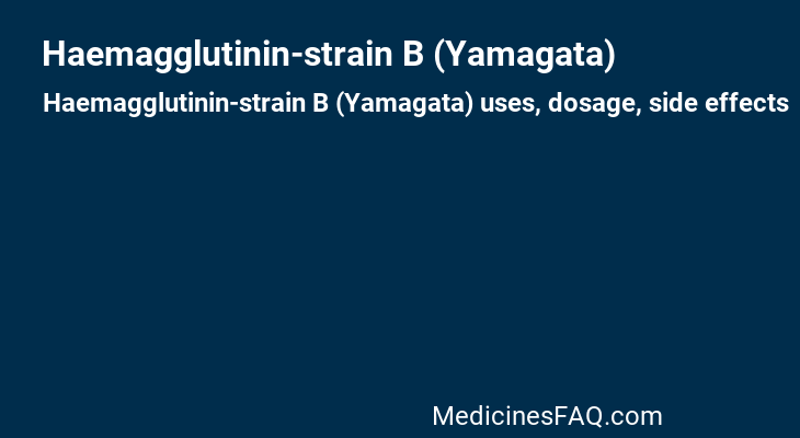 Haemagglutinin-strain B (Yamagata)