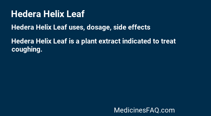 Hedera Helix Leaf