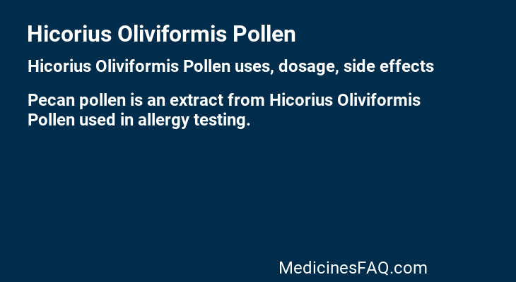Hicorius Oliviformis Pollen