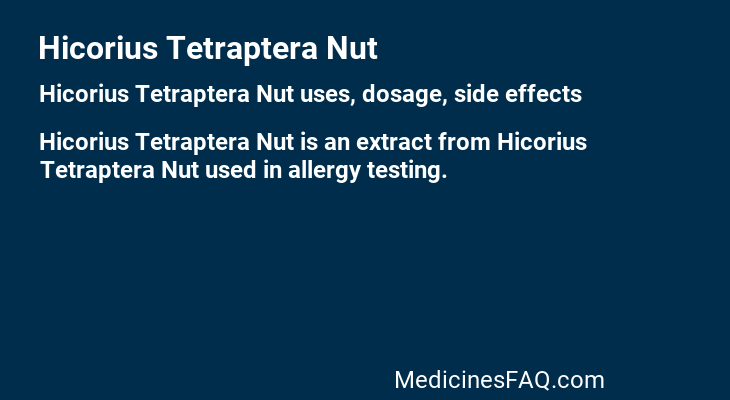 Hicorius Tetraptera Nut