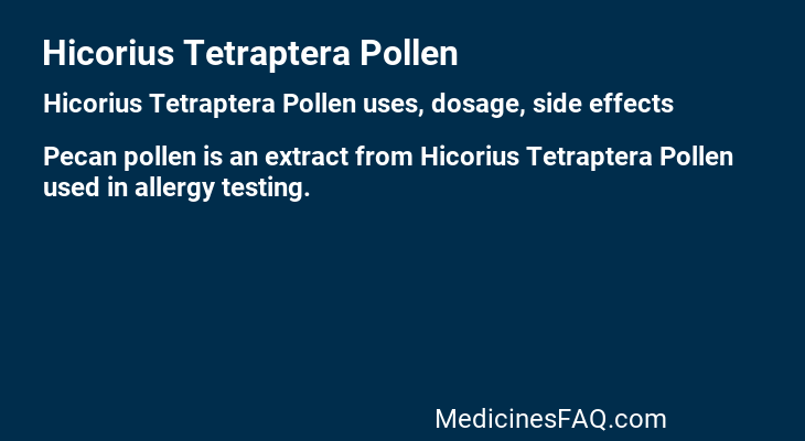 Hicorius Tetraptera Pollen