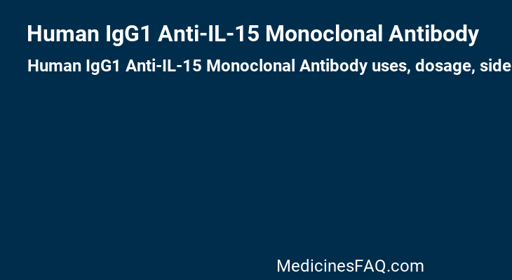 Human IgG1 Anti-IL-15 Monoclonal Antibody