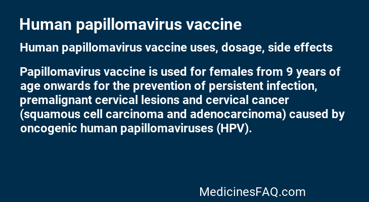 Human papillomavirus vaccine