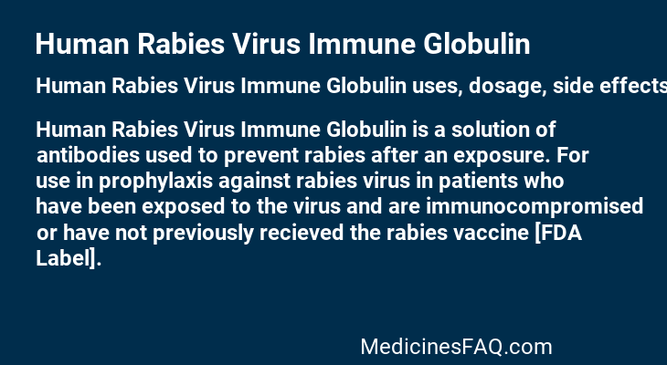 Human Rabies Virus Immune Globulin