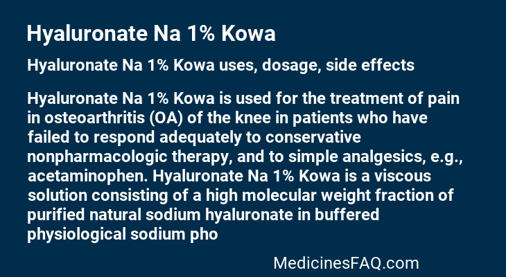 Hyaluronate Na 1% Kowa