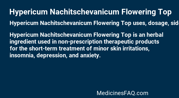 Hypericum Nachitschevanicum Flowering Top