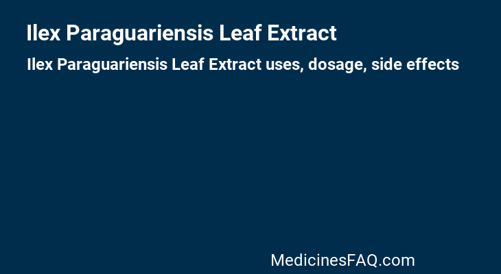 Ilex Paraguariensis Leaf Extract