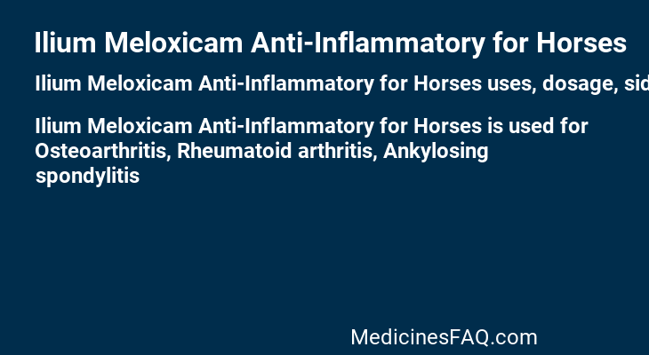 Ilium Meloxicam Anti-Inflammatory for Horses