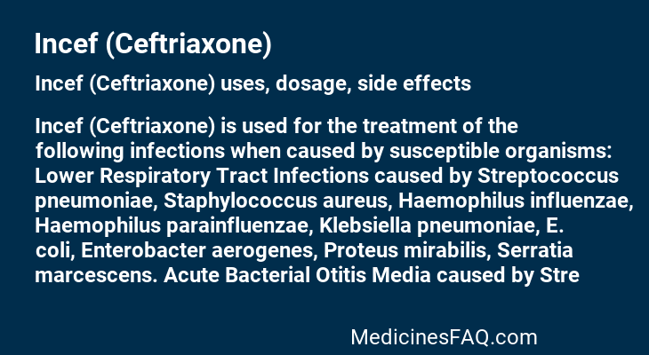 Incef (Ceftriaxone)