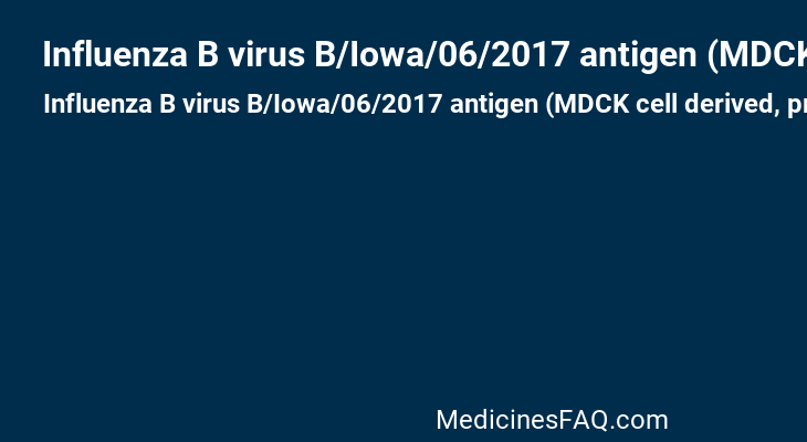 Influenza B virus B/Iowa/06/2017 antigen (MDCK cell derived, propiolactone inactivated)